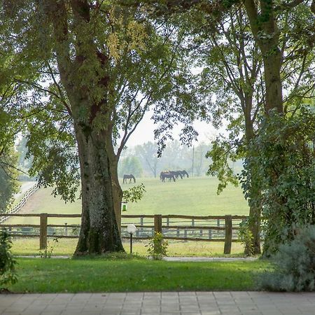 Tenuta Mariano ノチェート エクステリア 写真